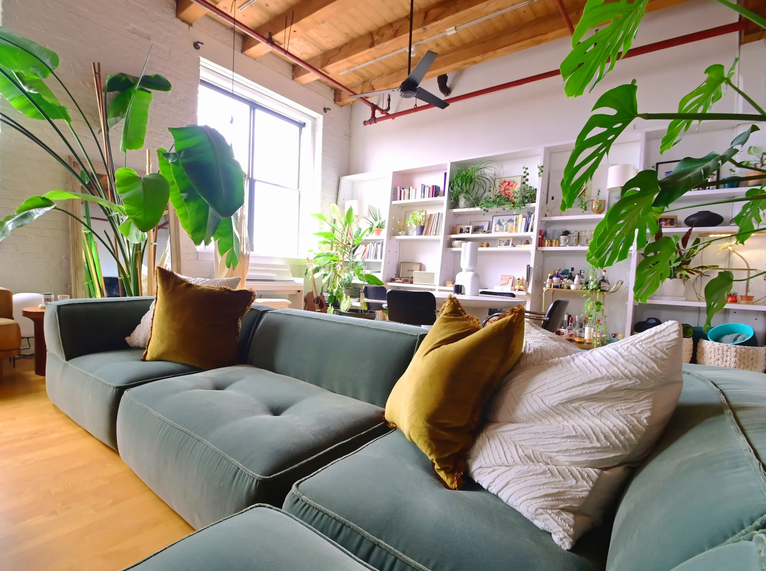 A tastefully decorated living room featuring a comfortable couch, lush green plants, and a large window with natural light streaming in. Chicago Loft project styled and designed by Laure Leger Studio