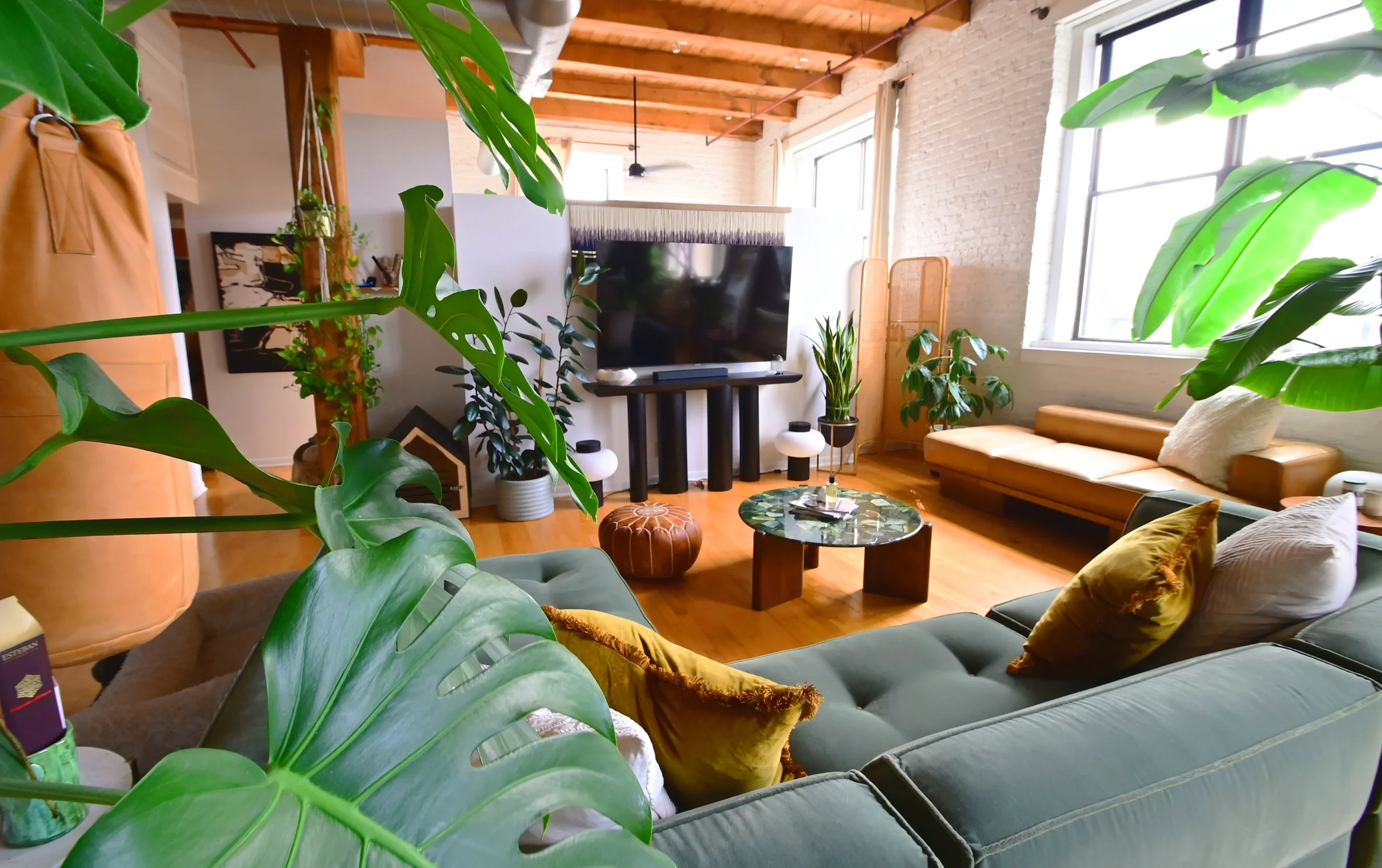 A tastefully decorated living room featuring a comfortable couch, lush green plants, and a large window with natural light streaming in. Chicago Loft project styled and designed by Laure Leger Studio